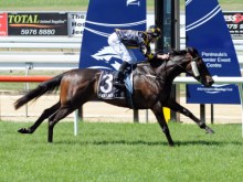 Two Sugars an 8 length winner at Mornington